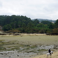 DSC01867